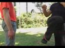 MPF DVD - Man and Woman Livello 2 (ITA)