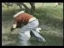 iobbi luigino's martial arts school - mpf dvd - man and woman livello 2 (ita)