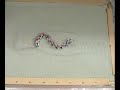 Worm-inspired robot crawls through intestines Worm-inspired robot crawls through intestines