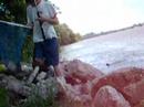 Fishing Video