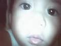 Pidoy