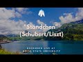 Ständchen (Schubert/Liszt)