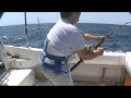 videos de Franks First Shark Trip