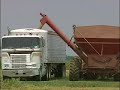 LOUISIANA FARM BUREAU: INTERVIEW WITH A RICE FARMER