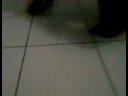 Alat Cukur Alat Cukur