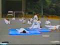 taekwondo
