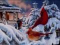 ¡Felices Fiestas!.wmv