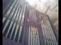 videos de Double C