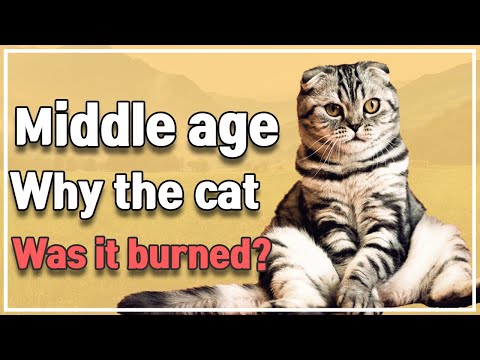 Why were cats burned in the Middle Ages?