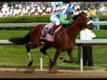 Barbaro Tribute with Nicanor