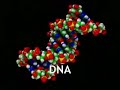 Biotecnologia - A engenharia dos genes