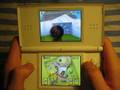 NDS-Super-Mario-64-D