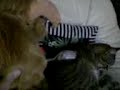 Alf hat sehr Hunger.. Alf hat sehr Hunger..