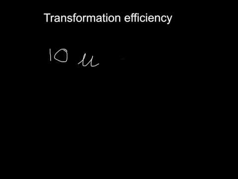how to calculate efficiency
