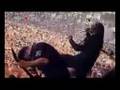 Slipknot-Pulse Of The Maggot