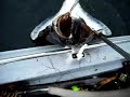 Halibut fishing w?dkarstwo Norway 2007
