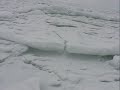 Море во льдах