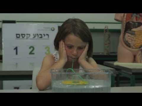 חיים גבאי מחמד - אלברט