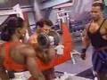 Flex-Workout-Trainin