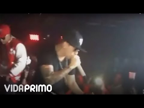De La Ghetto Ft Alex Kyza - Siempre Armao Live At MainGate -