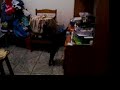 video da bibi.MOV video da bibi.MOV