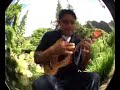 EDDIE BUSH TRIBUTE BY: DERICK SEBASTIAN