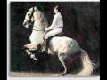 videos de Lusitano horses