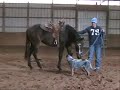 An introduction to this nice 2yr old gelding Hesaoneslickonetoo by Hesa Gay Dreamer out of a One Slick One mare. He is shown with Nicole Torturo of 3Drum