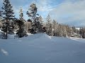 Jibbing in the new terrain park at Jackson Hole