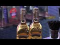 Biofuel story
