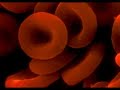 Spezzone dal documentario 
