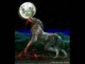 videos de sonata_artica_full_moon_lyrics.wmv