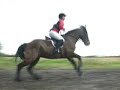 IPC Hunter Trials Championships 2008 Ver:2 Part 1