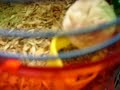 Garter Snake Litter Garter Snake Litter
