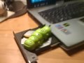 Windows 7 CD/DVD Worm (funny)