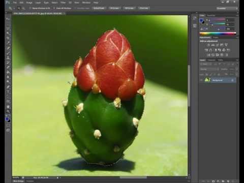 how to isolate area in photoshop