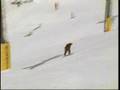 Snowboarding tricks