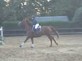 ma-chute-en-concours.html