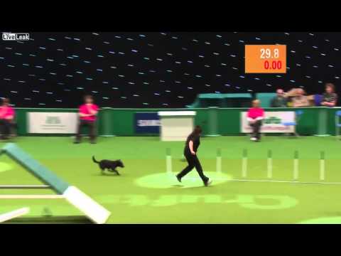 YouTube Трейлер