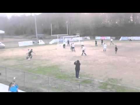 Amazing soccer goal 2011!