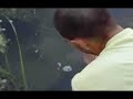 pesca suicida Rilascio