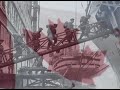 Iron