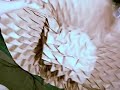 Origami flasher hat