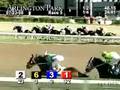 ARLINGTON PARK, 2008-07-23, Race 5