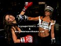 The Breaking News on Kid Rock & Tommy Lee The Breaking News on Kid Rock & Tommy Lee