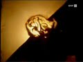 SAND ART - GENESIS - GENEZA SAND ART - GENESIS - GENEZA