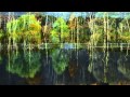 video PAYSAGES REPOSANTS Agréable nuit votre amie chaton
