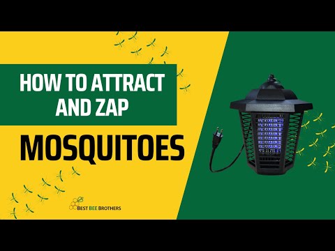image preview of video showcasing How to Attract and Zap Mosquitoes