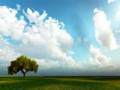 Importance of the Salafi Manhaj - Part 5