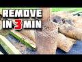 Download How To Remove Fence Post In 3 Minutes Mp3 Song